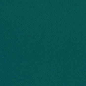 Empower Plain 133584 от магазина Ткани мира