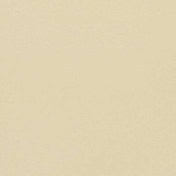 Empower Plain 133610 от магазина Ткани мира