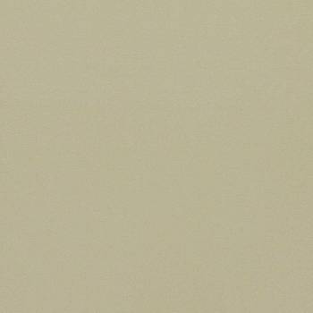 Empower Plain 133613 от магазина Ткани мира