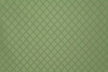 Ткань Borneo 3, 12, 21, 30, 39, 48, 57, 66, Сатин от магазина Ткани Мира