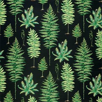 Fernery 226577, Портьерные ткани (детально) Мебельные ткани (детально) от магазина Ткани Мира