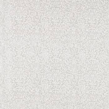 Pure Acorn 226063 от магазина Ткани мира