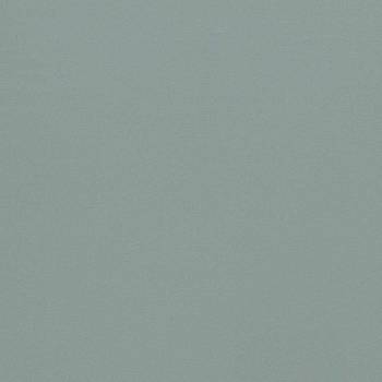 Empower Plain 133600 от магазина Ткани мира