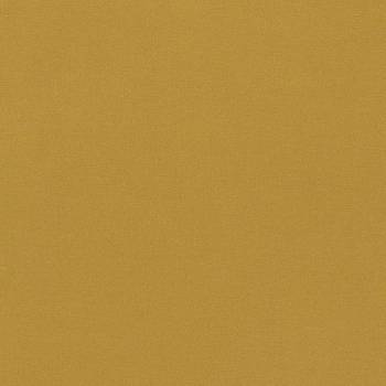 Empower Plain 133599 от магазина Ткани мира