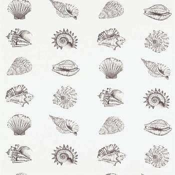 Kabibi 120612 от магазина Ткани мира