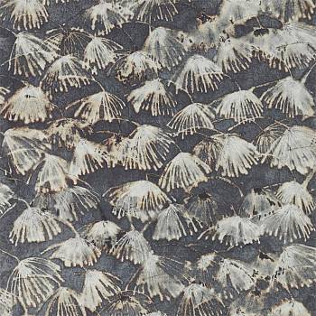 картинка Iliad 322619 магазин Ткани мира являющийся официальным дистрибьютором в России  Iliad 322619 от магазина Ткани мира