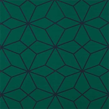 картинка Axal 132777 магазин Ткани мира являющийся официальным дистрибьютором в России  Axal 132777 от магазина Ткани мира