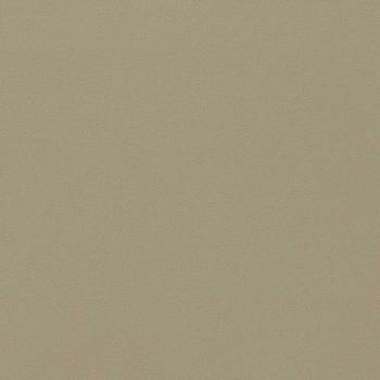 Empower Plain 133612 от магазина Ткани мира