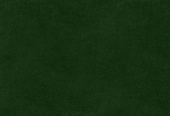 Espocada Aura 2419 ткань, Бархат от магазина Ткани Мира