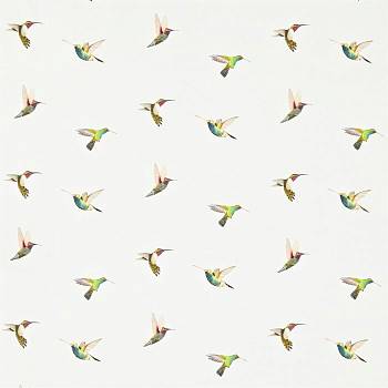 Amazilia ткань Harlequin  Сукно1,37 - Магазин Ткани Мира. Пошив. Доставка по России ✅ Amazilia ткань Harlequin, Сукно от магазина Ткани Мира