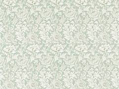 картинка Chrysanthemum Toile 226911 