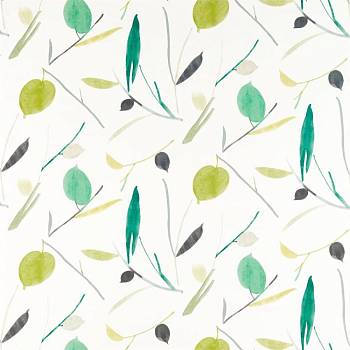 Oxalis 120778 от магазина Ткани мира