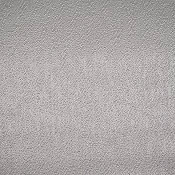 Raphel 208 ткань O'Interior Studio от магазина Ткани мира