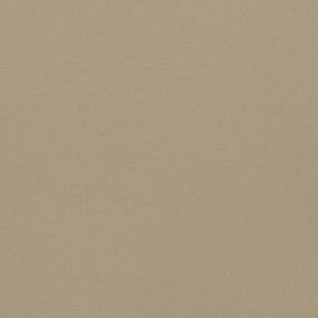 Empower Plain 133616 от магазина Ткани мира