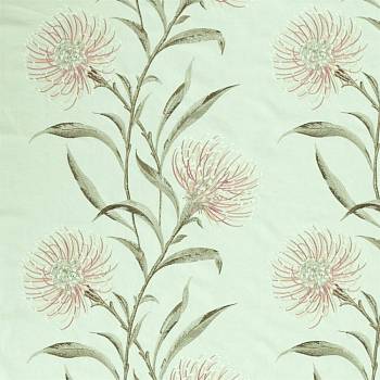 Catherinae 237189 от магазина Ткани мира