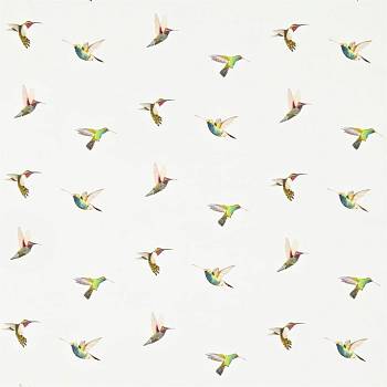 Amazilia 120350 от магазина Ткани мира