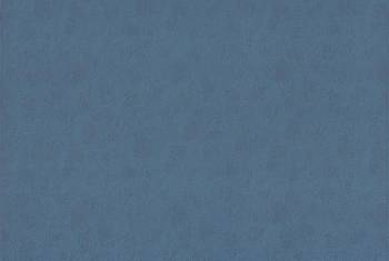 Steady ткань Fine, Кожа от магазина Ткани Мира