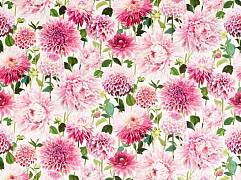 картинка Dahlia 121081 