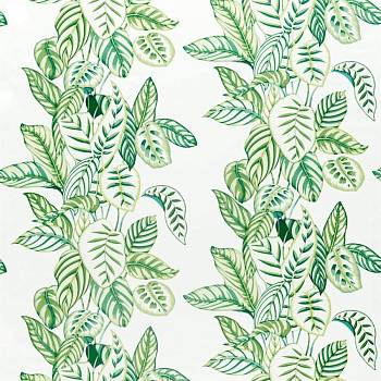 Calathea 226575, Портьерные ткани (детально) Мебельные ткани (детально) от магазина Ткани Мира