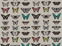Amazilia Fabrics Papilio ткань Harlequin, Персонажи от магазина Ткани Мира ✅