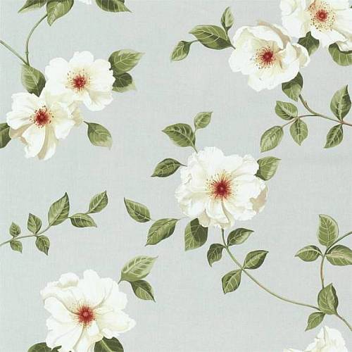 Poet's Rose ткань Sanderson каталог A celebration of the National Trust | Ткании Мира