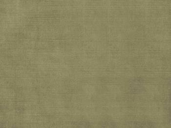 Espocada Showroom Collection Part 1 212 ткань, Бархат от магазина Ткани Мира