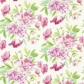 картинка Phoebe 321439 магазин Ткани мира являющийся официальным дистрибьютором в России  Phoebe 321439 от магазина Ткани мира