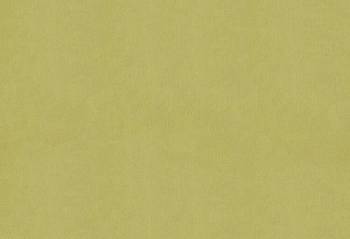 Ar Deco part 2 2371 ткань Espocada, Органза33 от магазина Ткани Мира