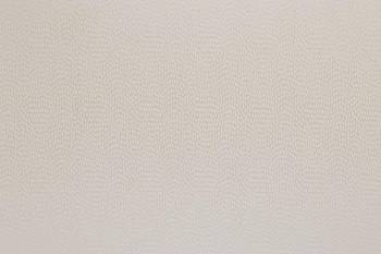 Sudetes Champagne от магазина Ткани мира