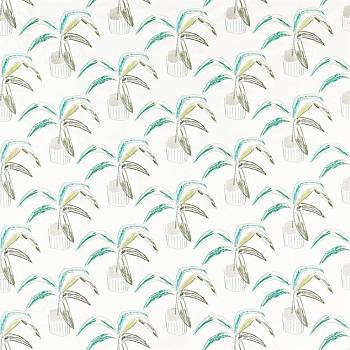 Crassula 132860 от магазина Ткани мира