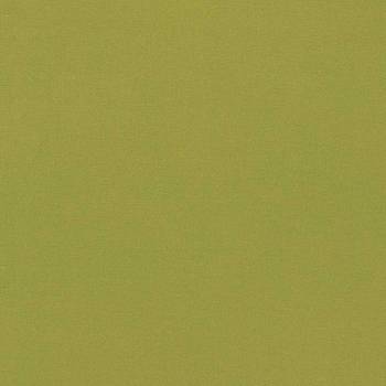 Empower Plain 133590 от магазина Ткани мира