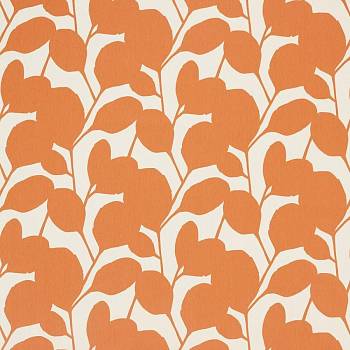 Ocotillo 120728 от магазина Ткани мира